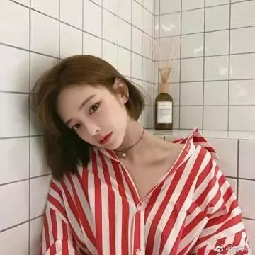 三只小猪